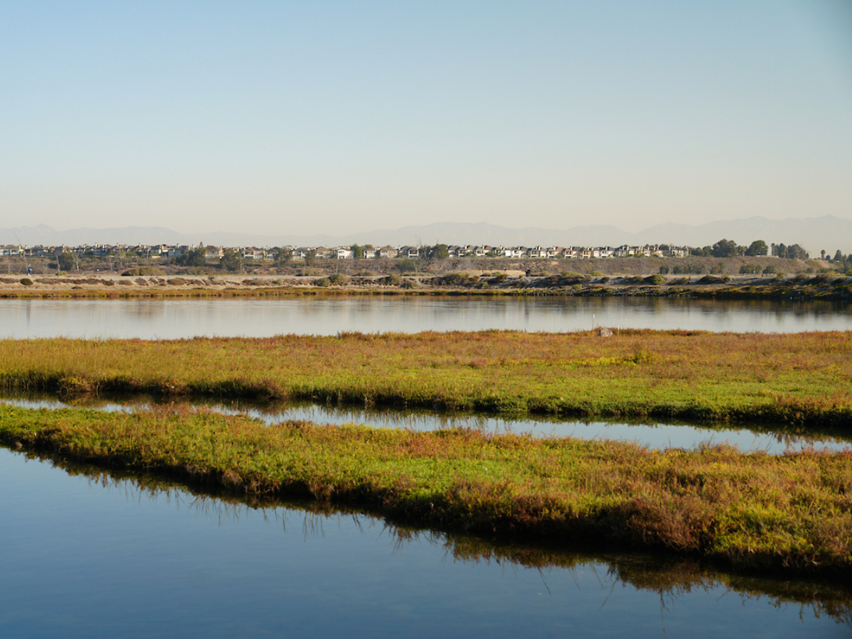 Yolo Bypass