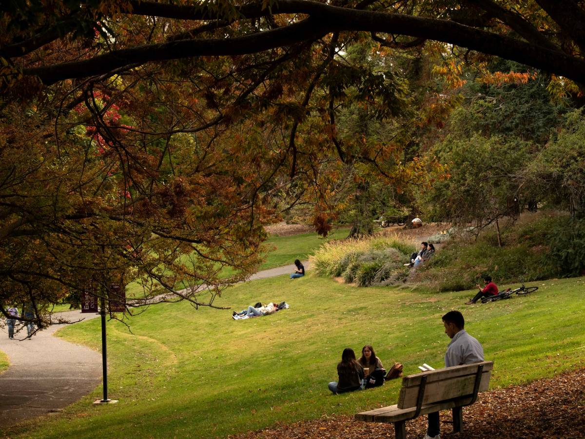UC Davis Arboretum