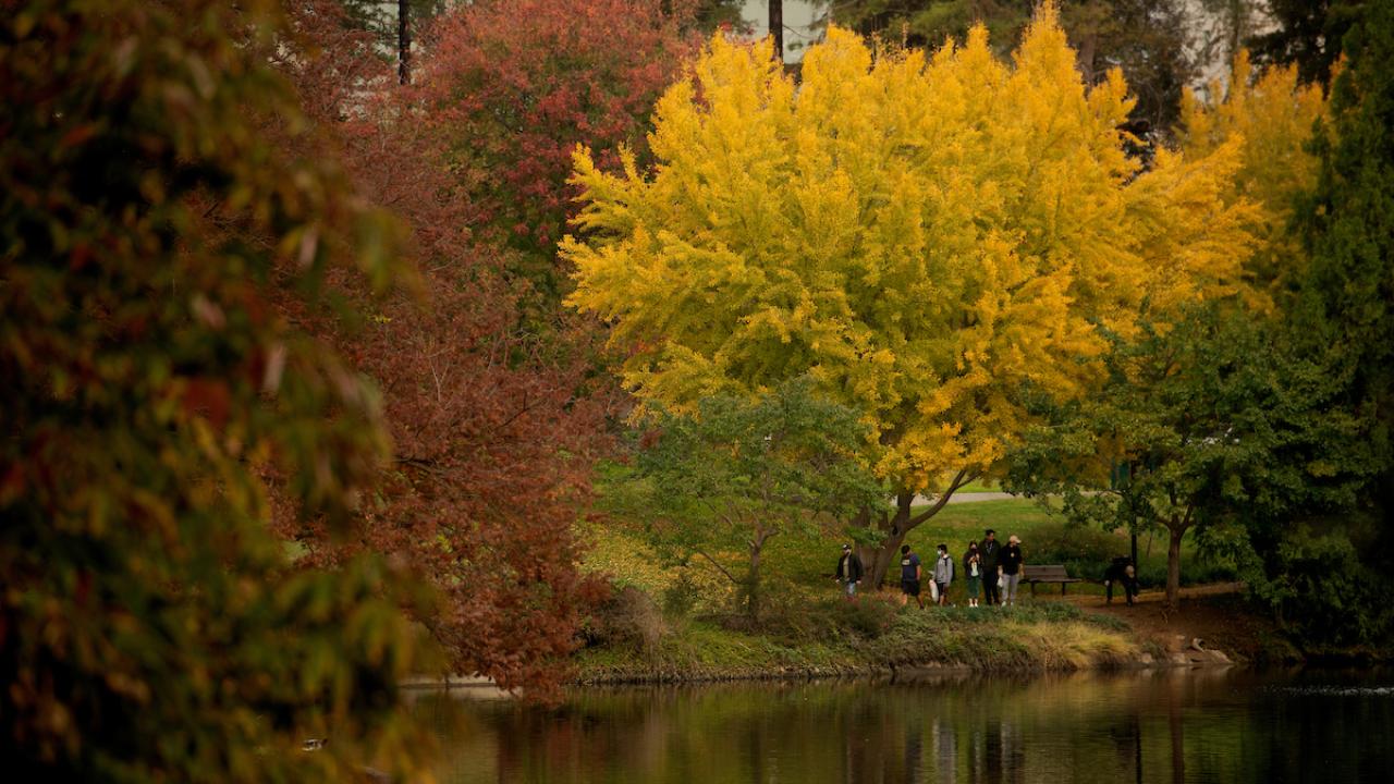 Students walking in the arboretum during the autumn season.